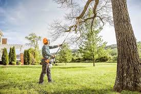 How Our Tree Care Process Works  in  Moody Af, GA